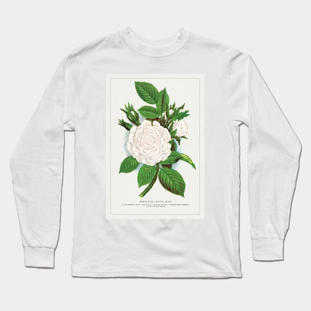 Rose, Perpetual White Moss lithograph (1900) Long Sleeve T-Shirt by WAITE-SMITH VINTAGE ART